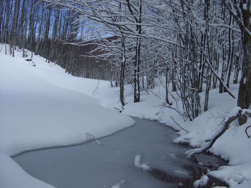 il torrente ghiacciato