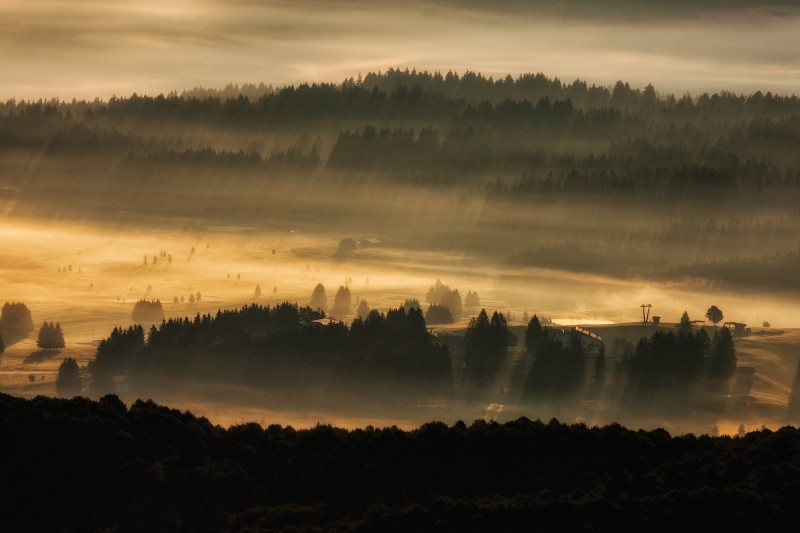 alba piana del cansiglio