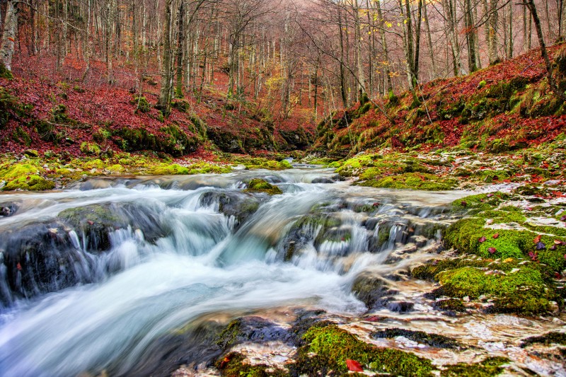 torrente arzino