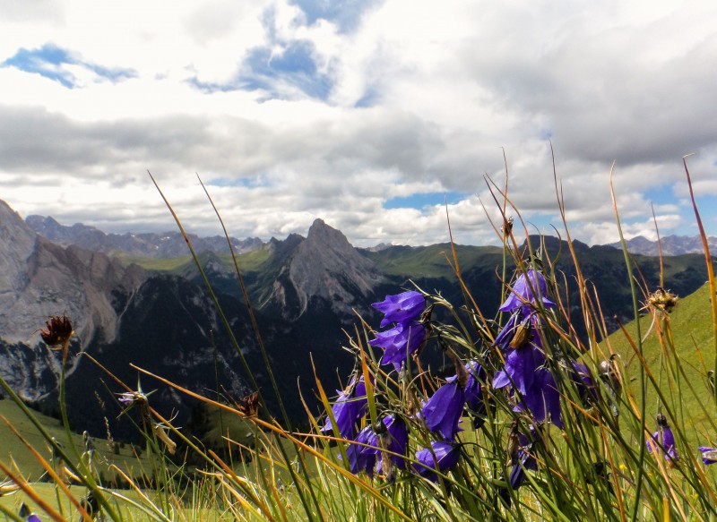 orizzonti di montagna