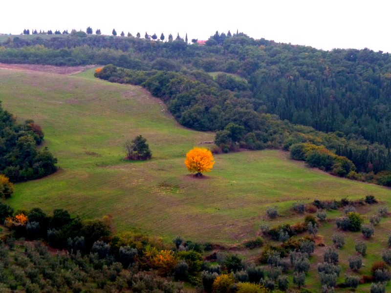 il solitario