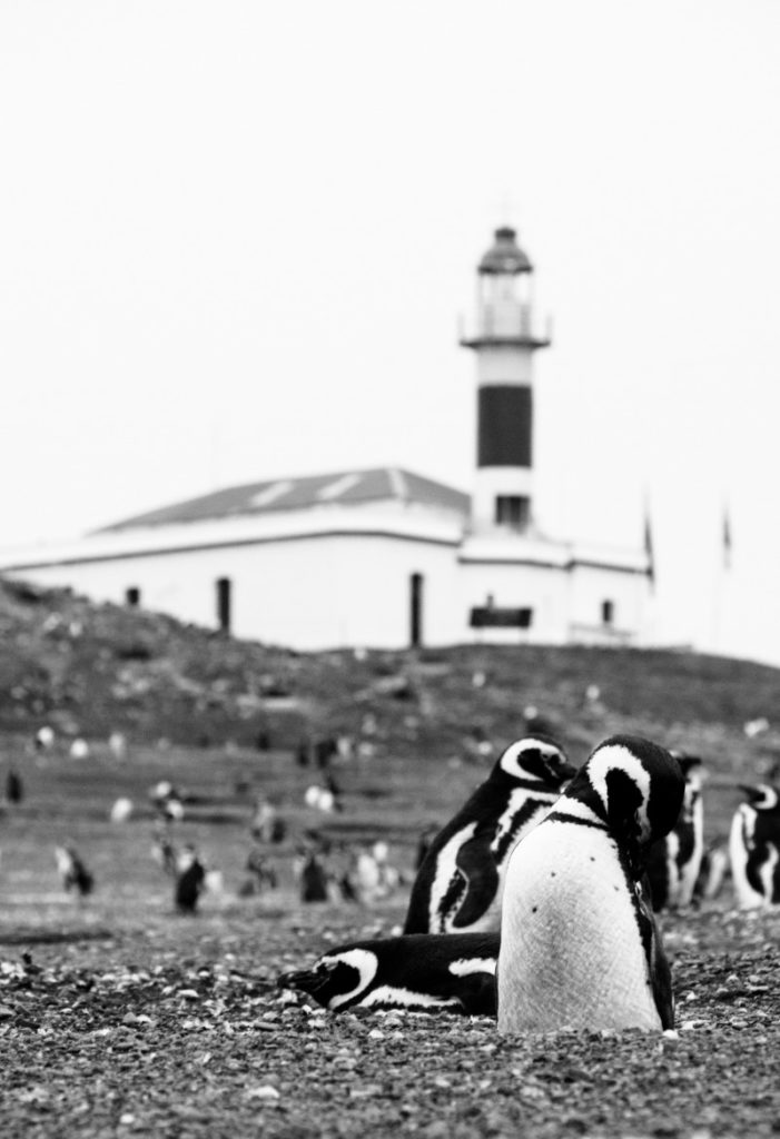 i guardiani del faro