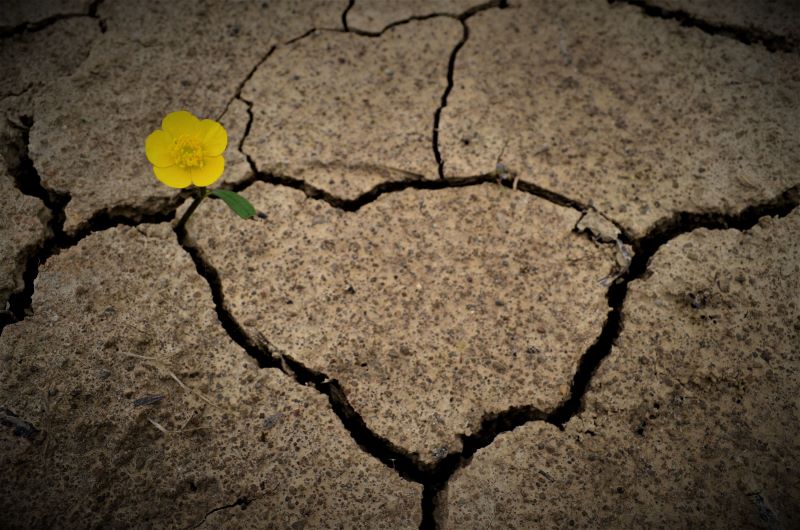 la vita avanza nonostante le difficoltà