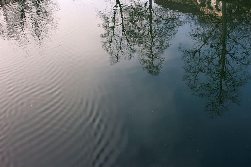 riflessi sulla ljubljanica