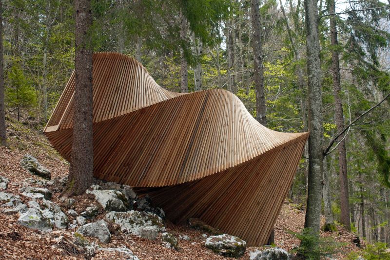 spirale nel bosco