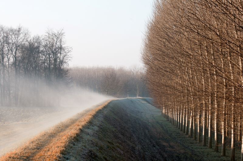 il respiro della terra