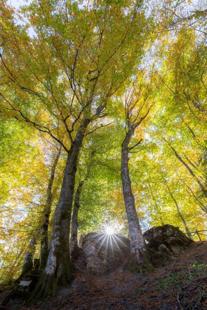 autunno in casentino