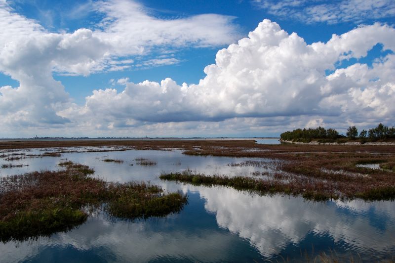 laguna veneziana di fronte a burano