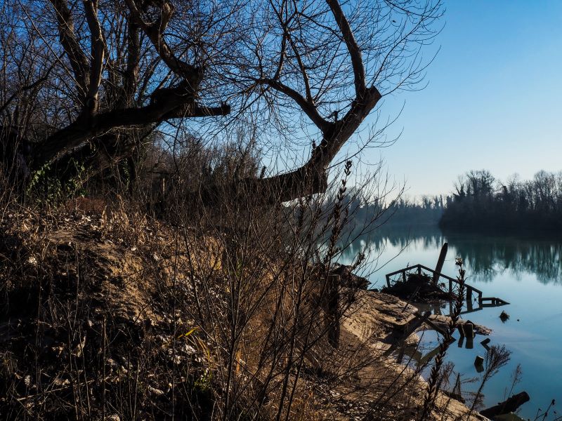 mattina invernale sul piave