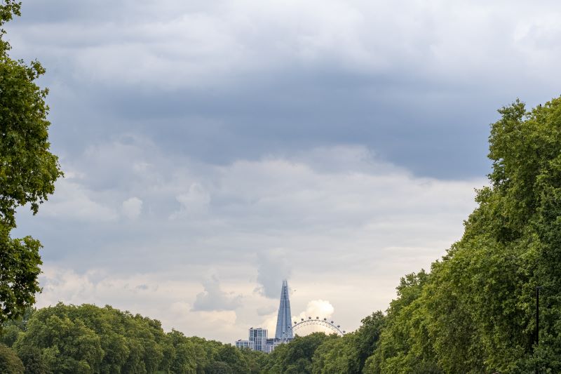 la natura che incornicia una grande metropoli