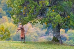 la fatica di uno spuntino