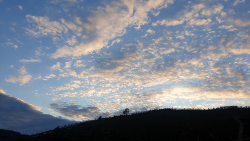 vite sotto il cielo