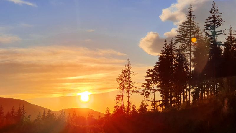 tramonto in mezzo alla natura