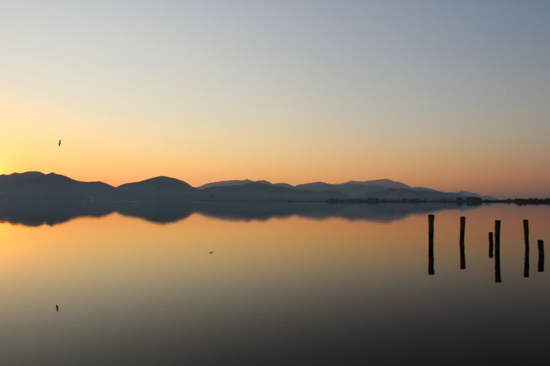 alba d'agosto sul lago di massaciuccoli