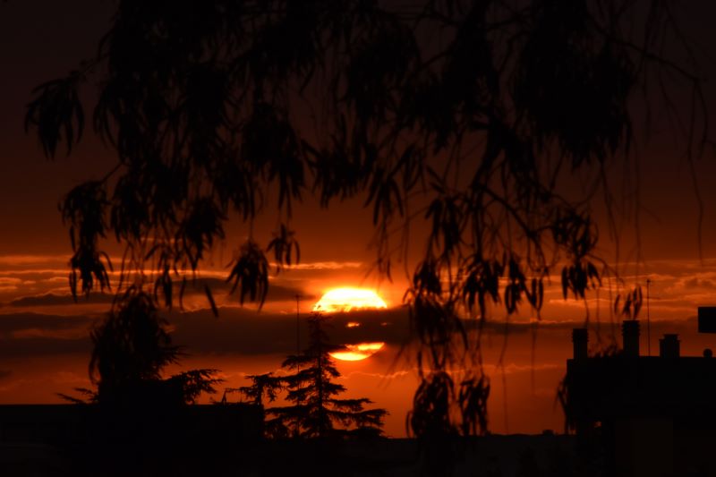 un incendio di caldi colori al tramonto tra alberi e tetti