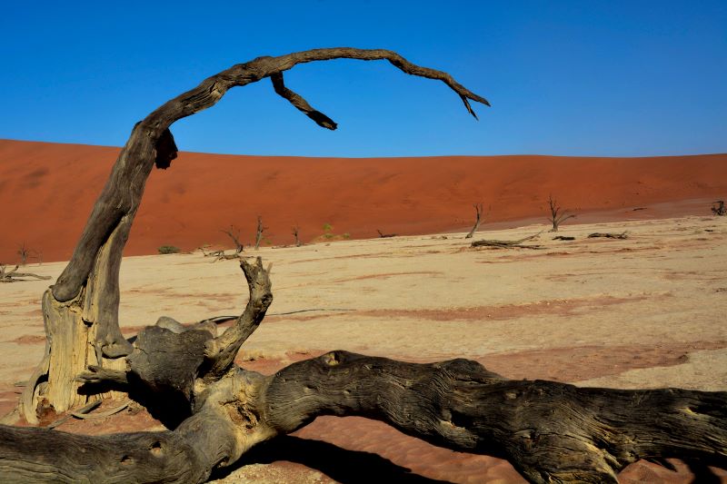 sossusvlei namibia