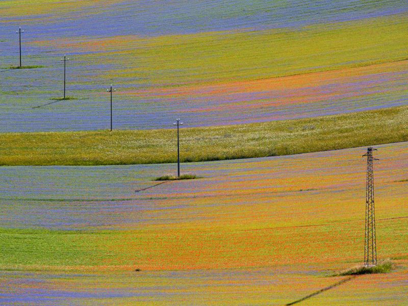 Colori di Castelluccio