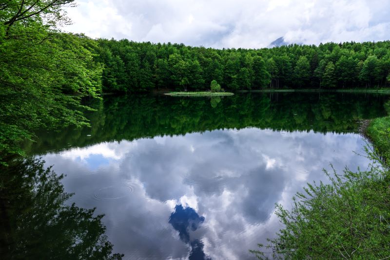 il verde di Pranda