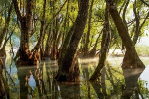 Riflessi sul lago