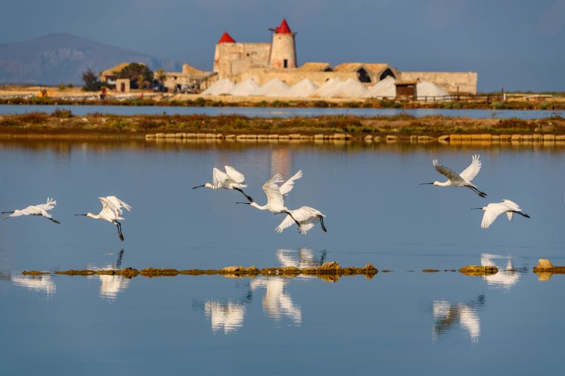 Natura è bellezza e perfezione