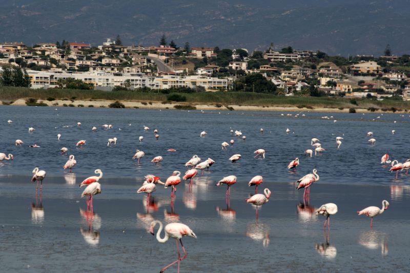 Simbiosi Natura e Spazi Umani