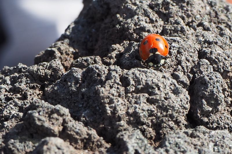 A passeggio su un vulcano