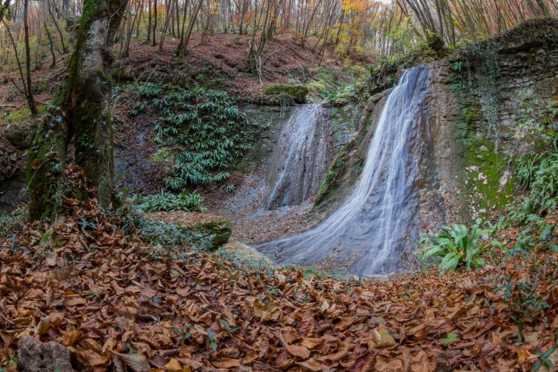 Autunno nel bosco