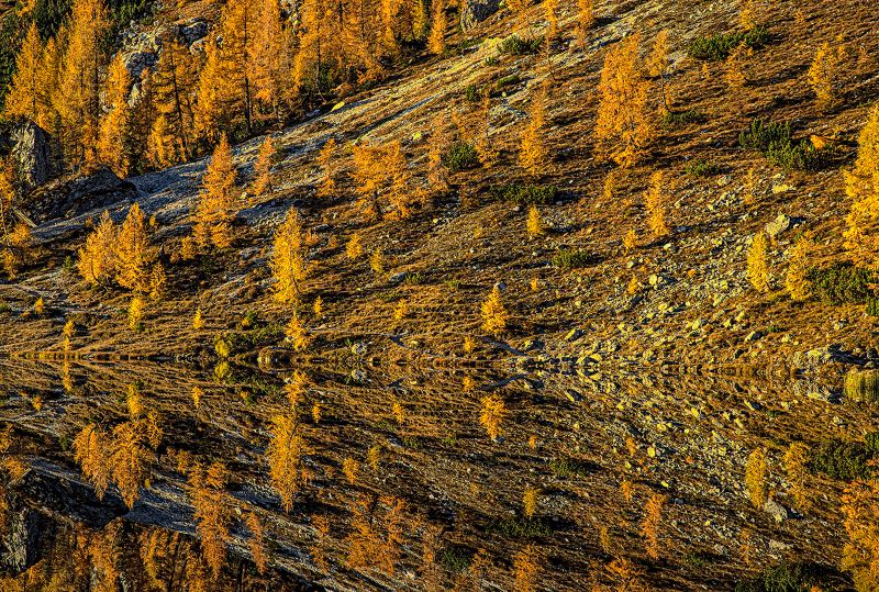 Autunno sul lago Federa