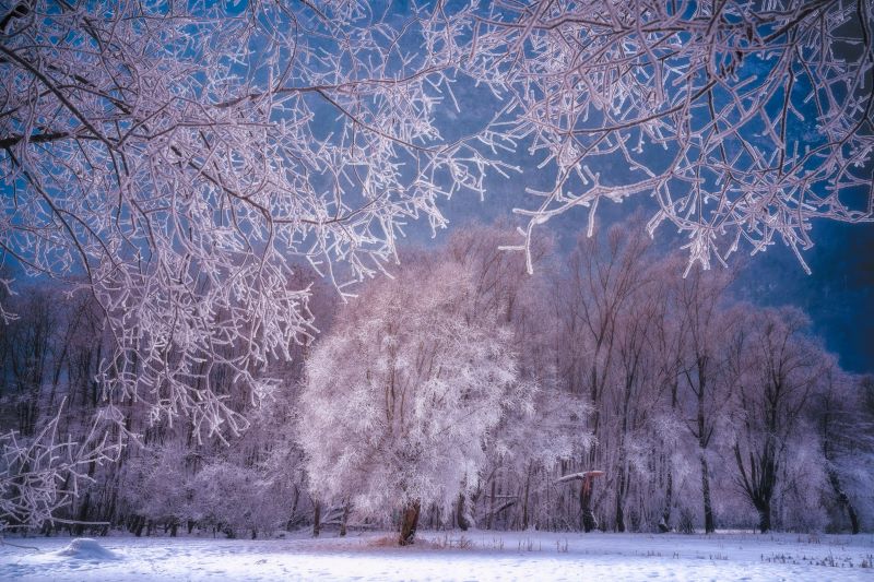 Paesaggio invernale 89