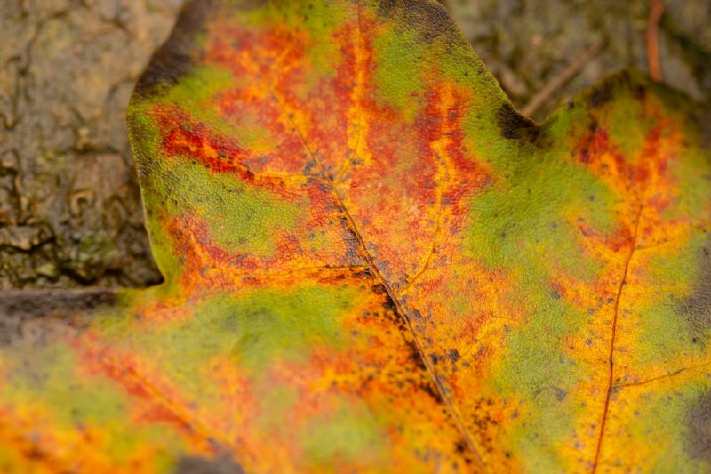 Verso l'autunno