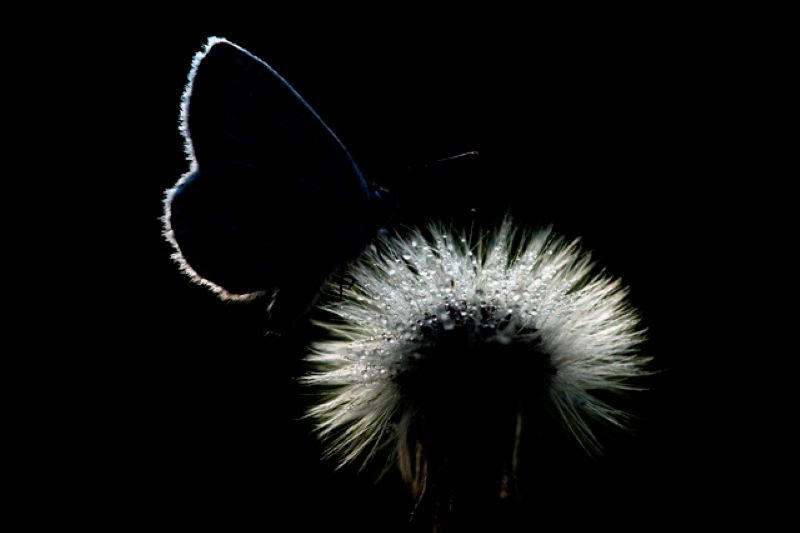 Prime luci di un mattino di Primavera