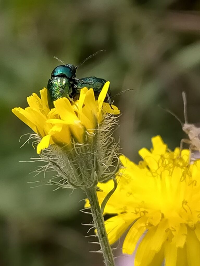 Natura la città 3