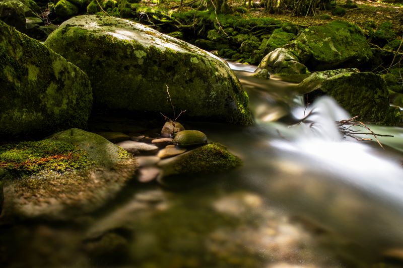 Forza della natura e giochi di luce