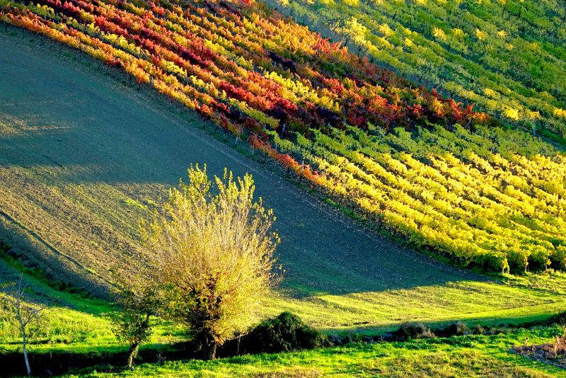 Il calore dell'autunno