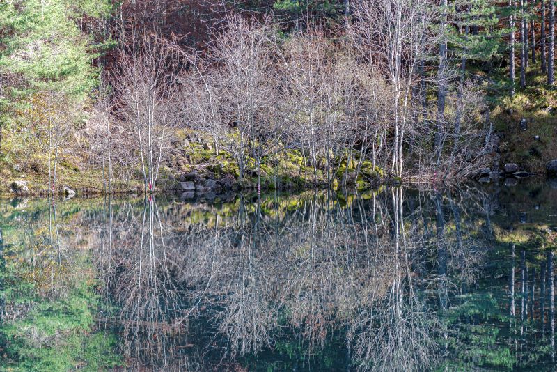 Riflessi al Lago delle Lame