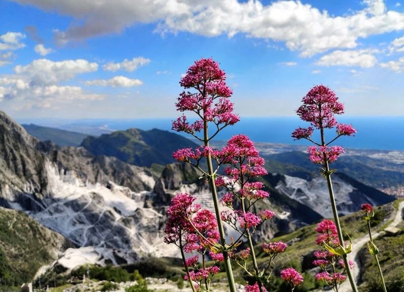 Primavera sulle Apuane