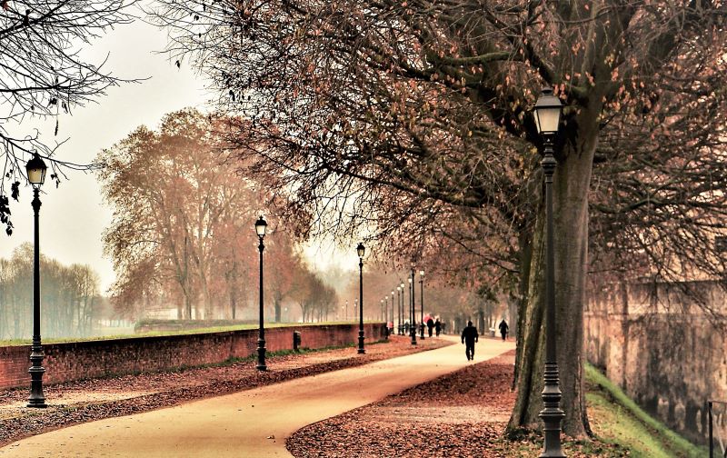 Autunno sulle mura di Lucca