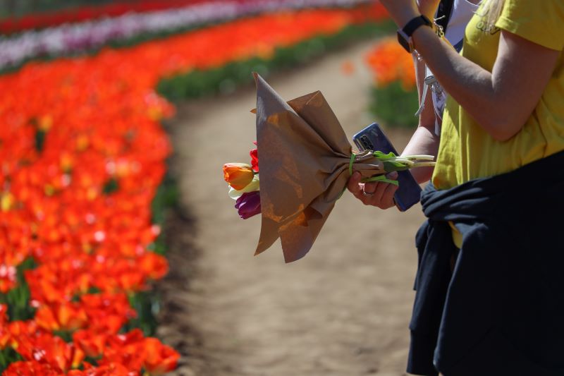 Il caldo colore dei tuliani