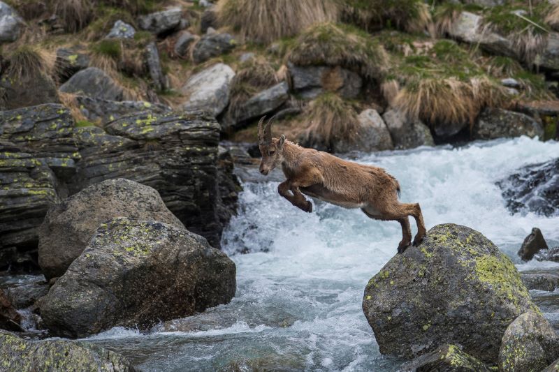 Jumping the river