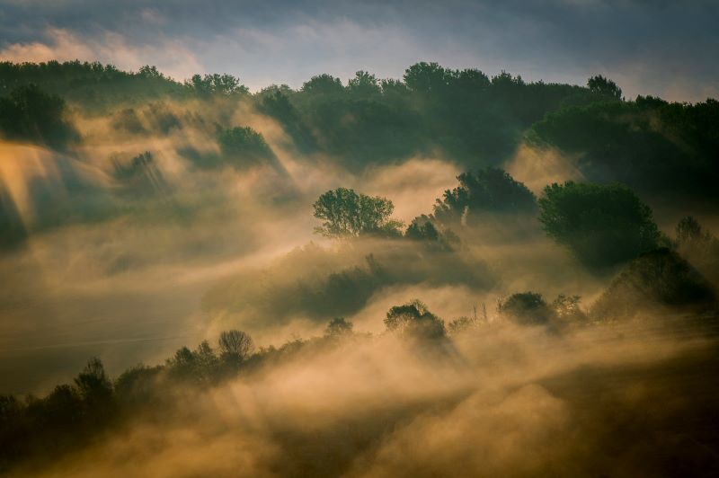 lights in the fog