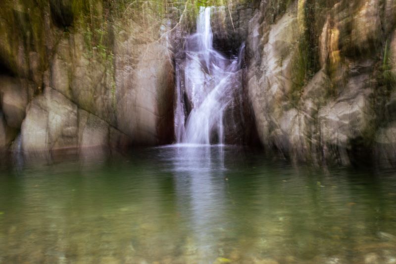 Quadro dipinto dalla natura