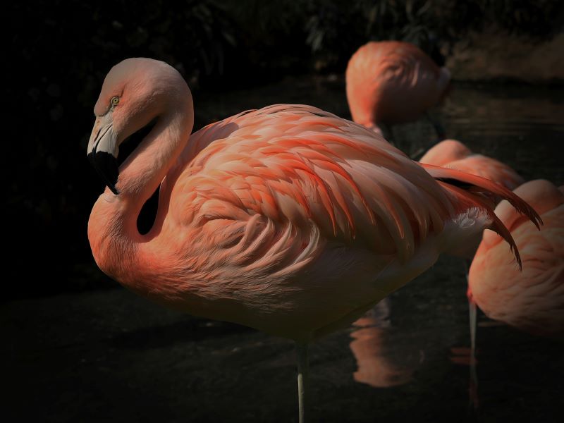 Sinuoso per natura
