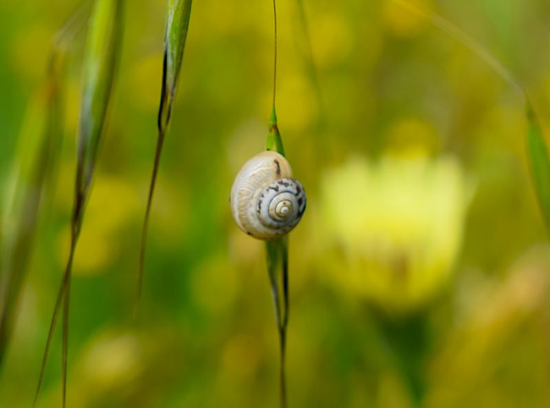 Un equilibrio sottile