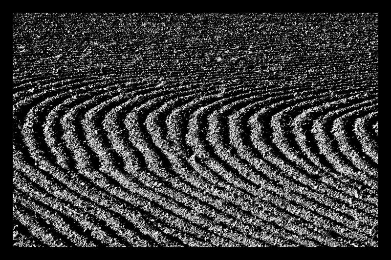 dry wave