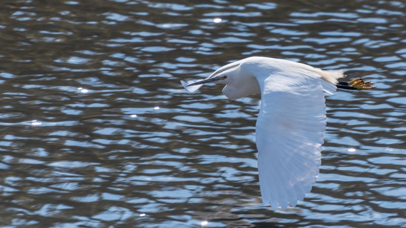 Volo in solitaria