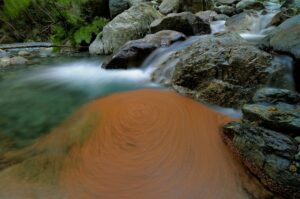 Swirling Leaves